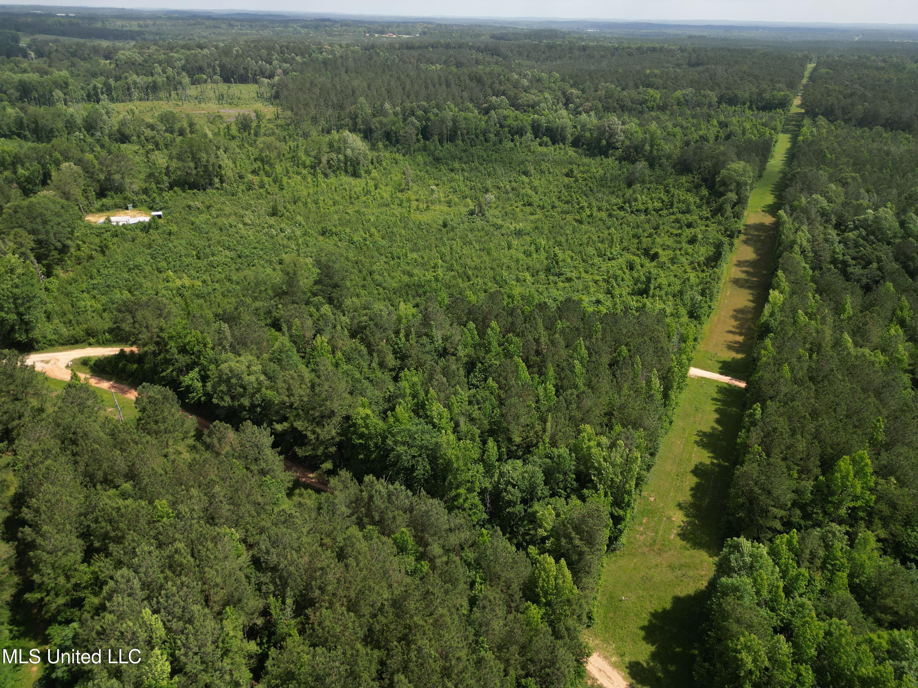 2337 Co Road Bay Springs, MS 39422 - Photo 6 of 26 jones pic 6