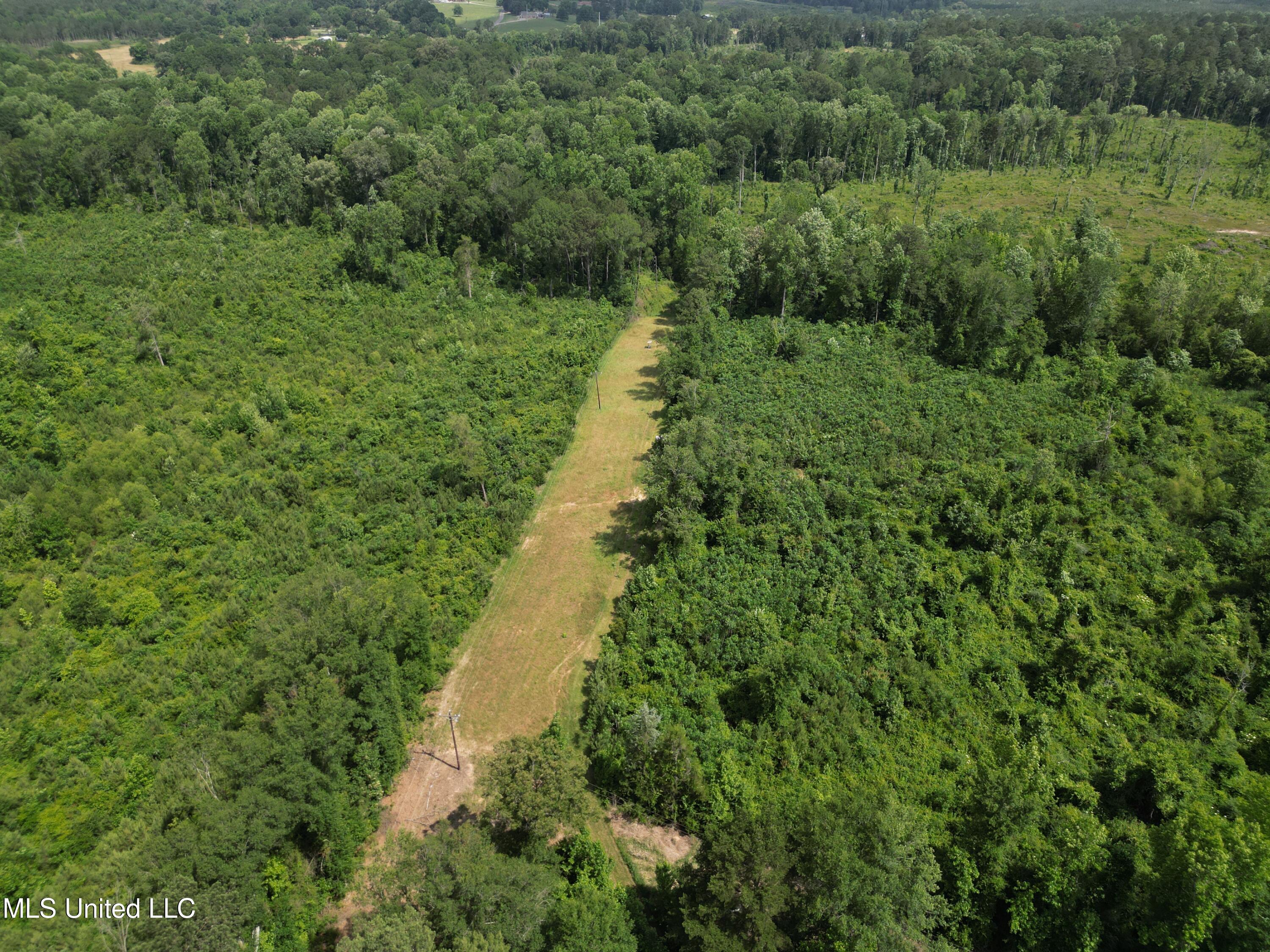 2337 Co Road Bay Springs, MS 39422 - Photo 9 of 26 jones pic 9