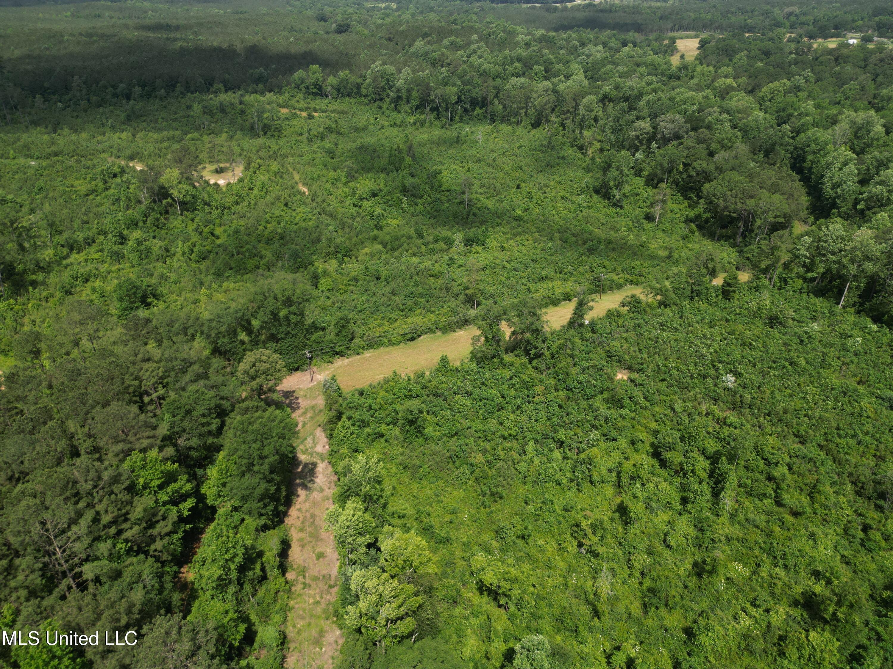 2337 Co Road Bay Springs, MS 39422 - Photo 10 of 26 jones pic 10