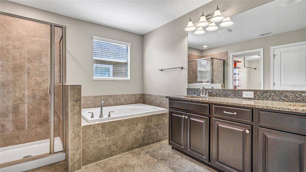 1695 Ludington Avenue Wesley Chapel, FL 33543 - Photo 26 of 65 a spacious bathroom with a granite countertop sink a large mirror a shower and a bathtub
