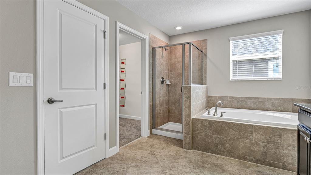 1695 Ludington Avenue Wesley Chapel, FL 33543 - Photo 28 of 65 a spacious bathroom with a tub shower and sink