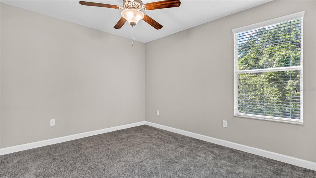 1695 Ludington Avenue Wesley Chapel, FL 33543 - Photo 35 of 65