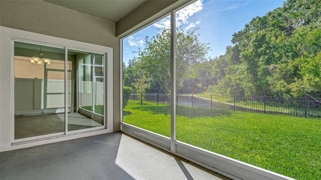 1695 Ludington Avenue Wesley Chapel, FL 33543 - Photo 45 of 65