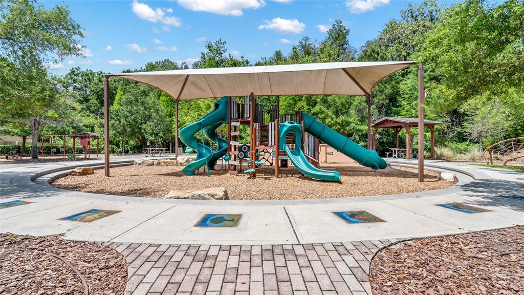 1695 Ludington Avenue Wesley Chapel, FL 33543 - Photo 50 of 65 a view of outdoor space with entertaining space