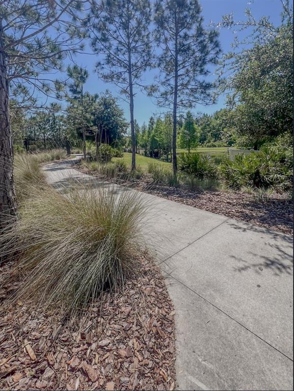 1695 Ludington Avenue Wesley Chapel, FL 33543 - Photo 55 of 65 a view of a road with plants and a bench