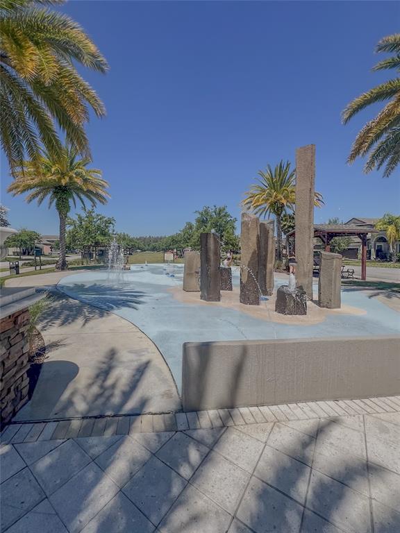 1695 Ludington Avenue Wesley Chapel, FL 33543 - Photo 57 of 65