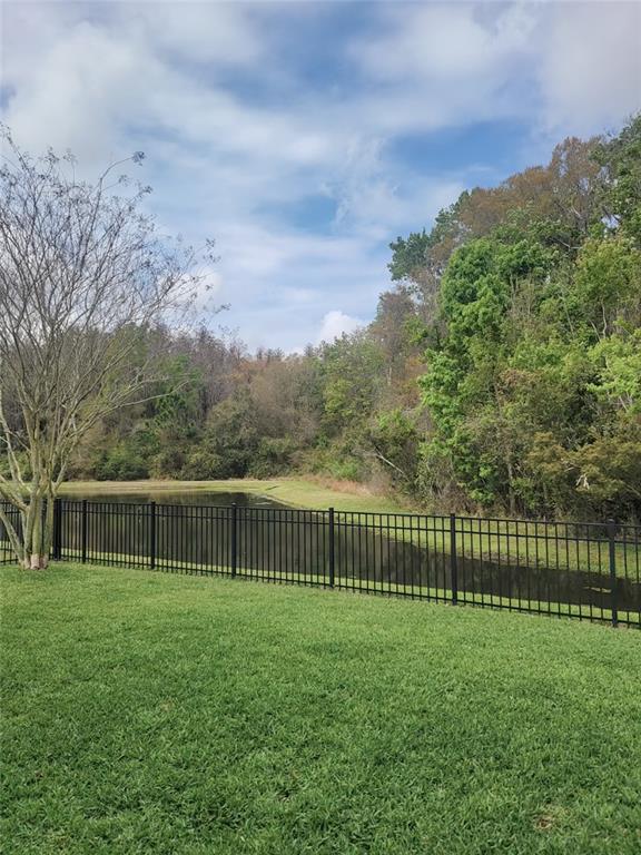 1695 Ludington Avenue Wesley Chapel, FL 33543 - Photo 60 of 65 a view of a yard with a large trees