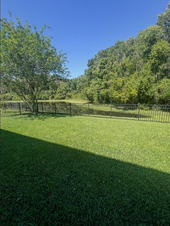 1695 Ludington Avenue Wesley Chapel, FL 33543 - Photo 63 of 65