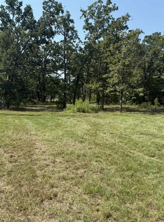 928 County Road 1660 Alba, TX 75410 - Photo 11 of 17 a view of a green yard