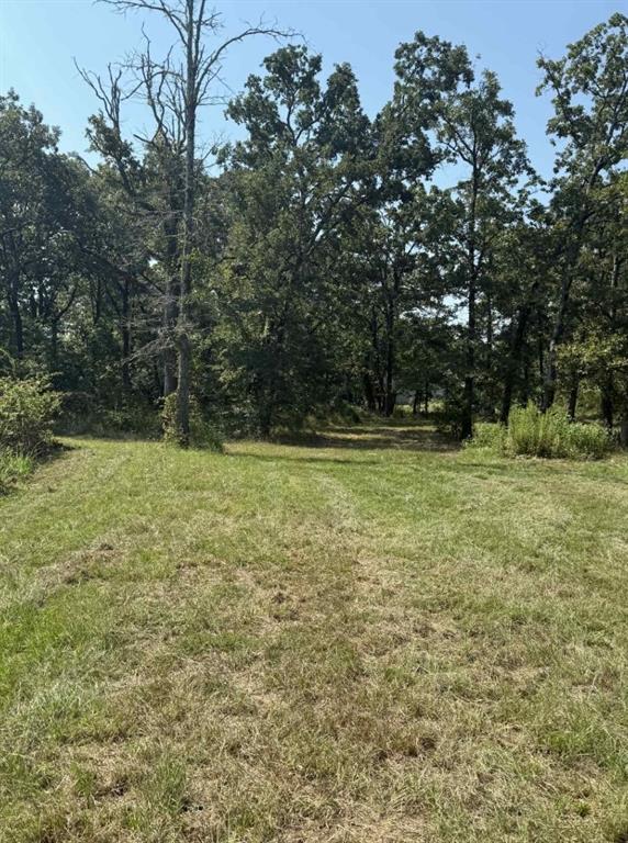 928 County Road 1660 Alba, TX 75410 - Photo 12 of 17 a view of a field with trees in the background