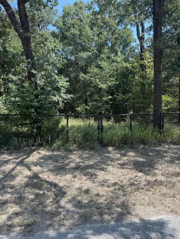 928 County Road 1660 Alba, TX 75410 - Photo 13 of 17 a view of a forest