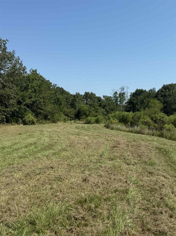 928 County Road 1660 Alba, TX 75410 - Photo 14 of 17 a view of a field with a tree in the background