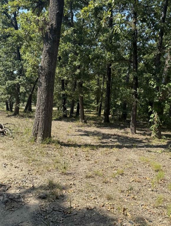 928 County Road 1660 Alba, TX 75410 - Photo 15 of 17 a view of a yard with a tree