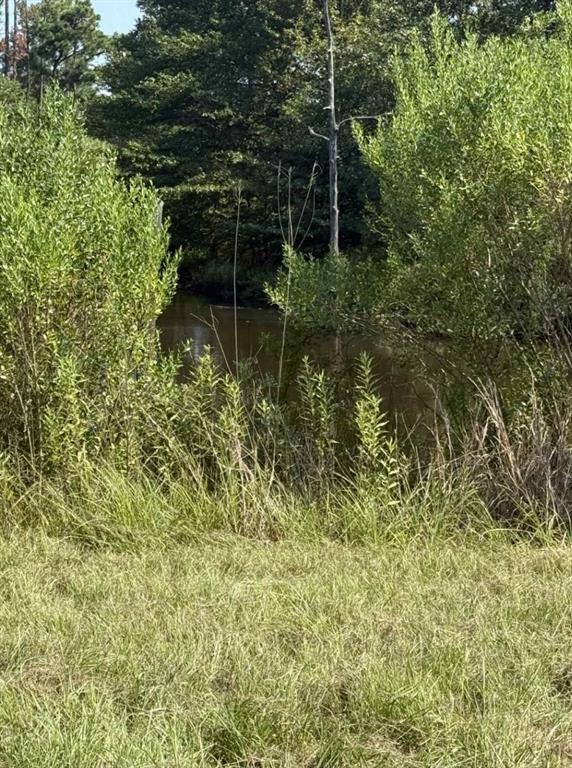 928 County Road 1660 Alba, TX 75410 - Photo 17 of 17 a backyard of a house with lots of green space and fountain