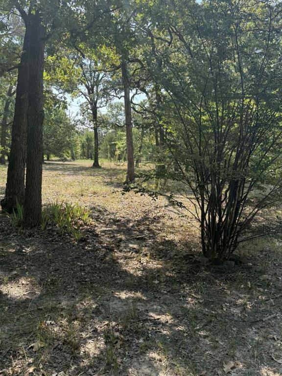 928 County Road 1660 Alba, TX 75410 - Photo 6 of 17 a view of a forest with trees