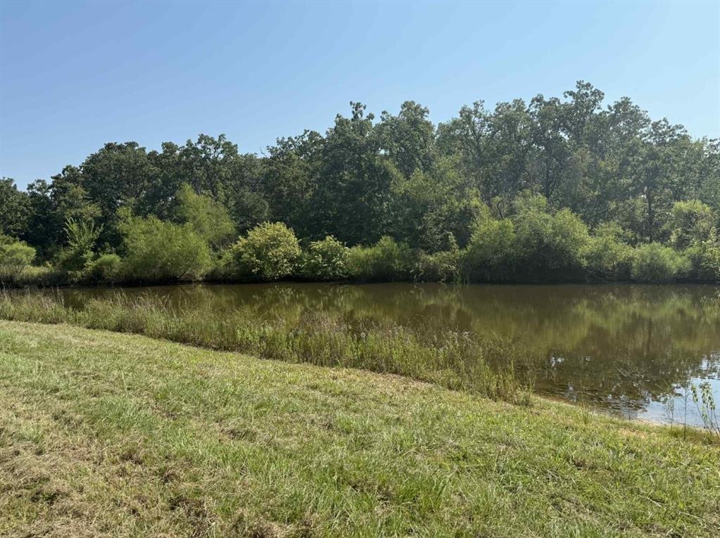 928 County Road 1660 Alba, TX 75410 - Photo 9 of 17 a view of lake with green space