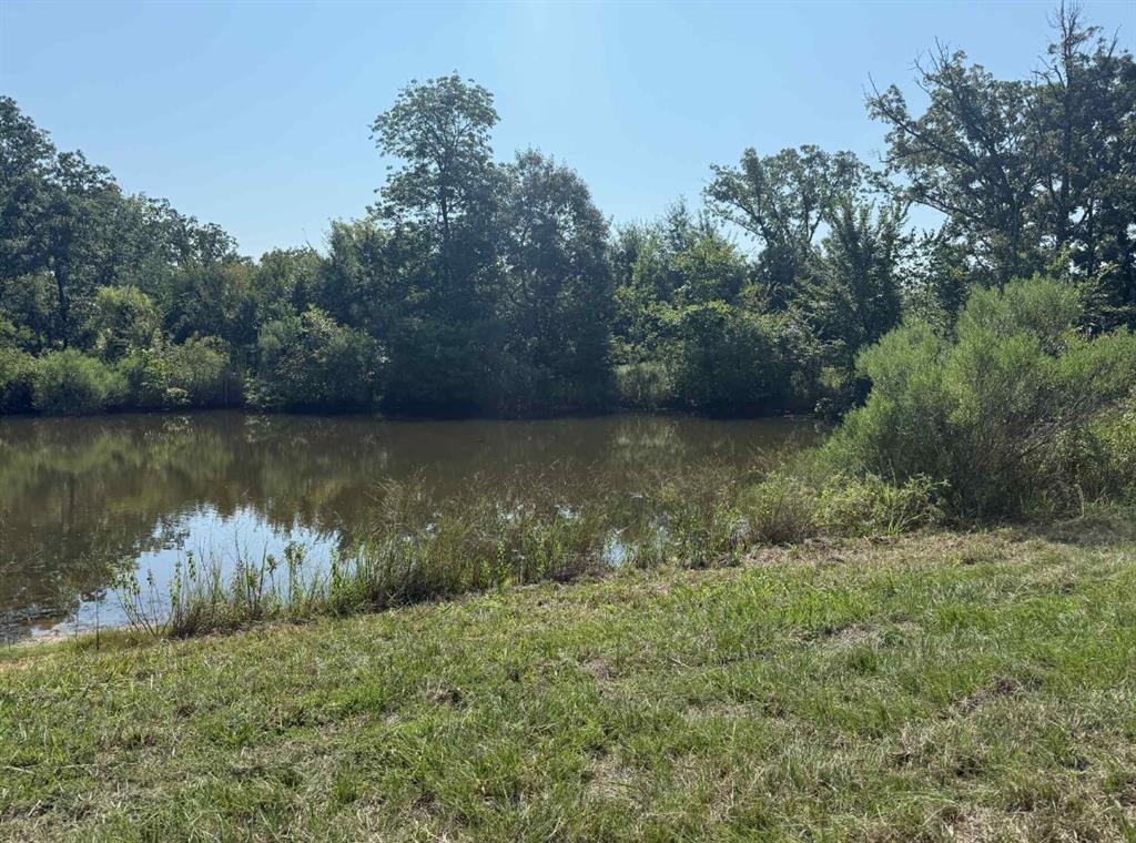 928 County Road 1660 Alba, TX 75410 - Photo 10 of 17 a view of a lake with a yard