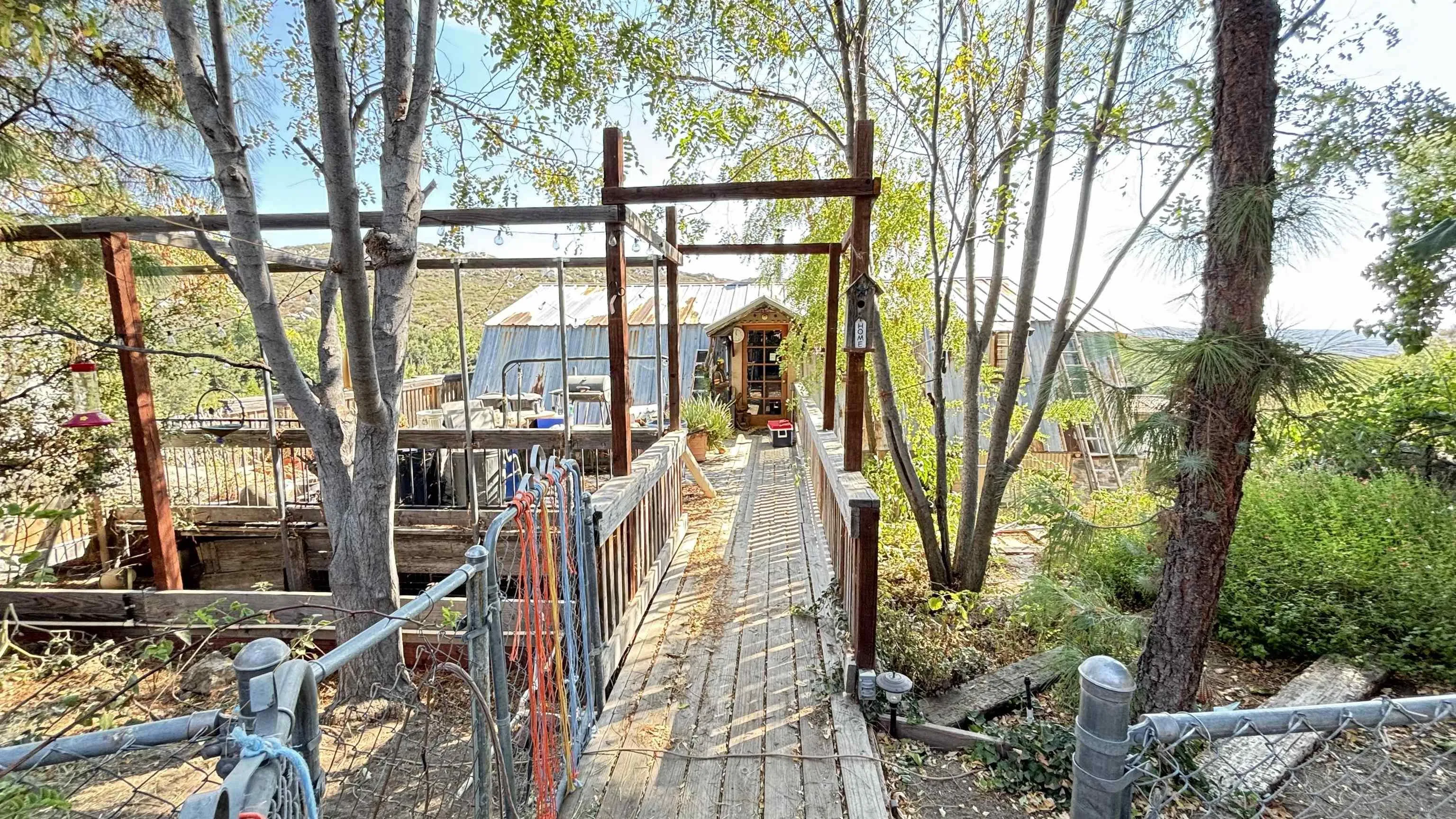 2602 La Posta Road Campo, CA 91906 - Photo 4 of 16 a view of a yard with plants and large trees