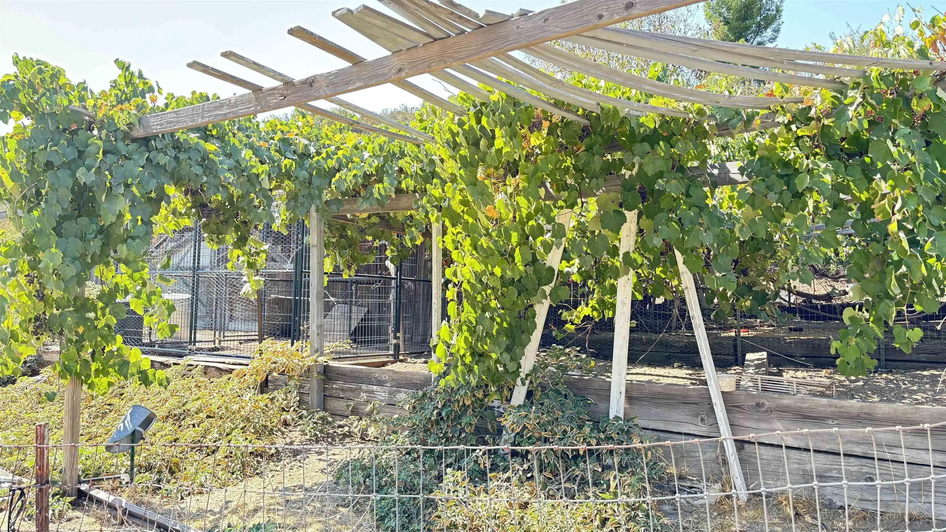 2602 La Posta Road Campo, CA 91906 - Photo 8 of 16 a front view of a house with a yard