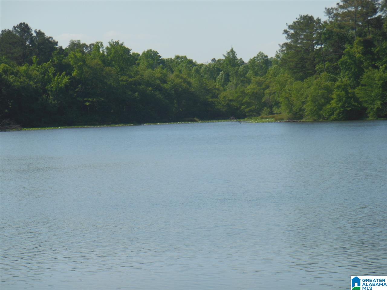 Lot 1 Lakeview Drive, Unit 1 Oneonta, AL 35121 - Photo 2 of 3
