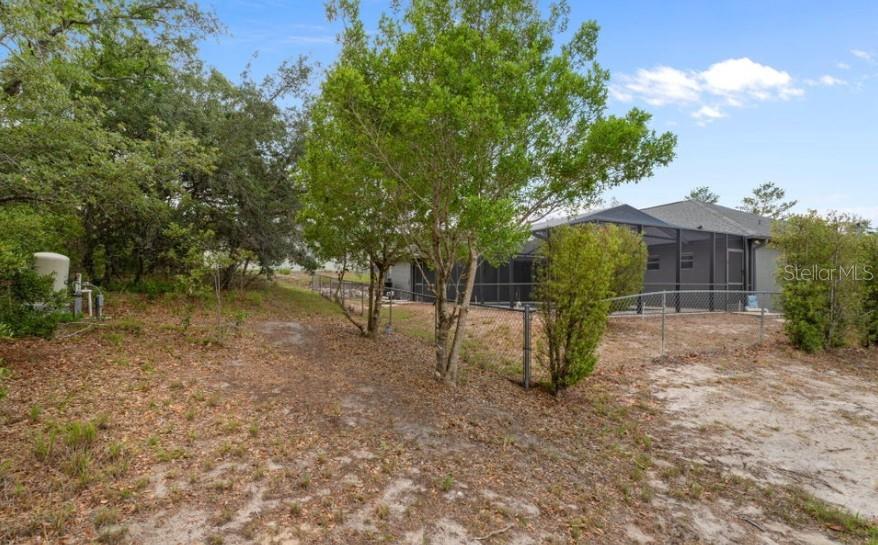 12411 Convent Garden Road Brooksville, FL 34613 - Photo 49 of 49 a view of a park with large trees