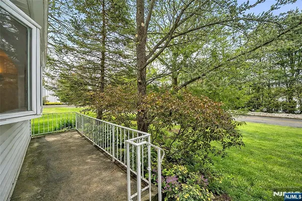 a view of a yard with large trees