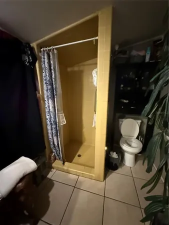 a bathroom with a shower and a toilet