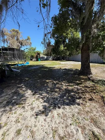 a view of a yard with large tree