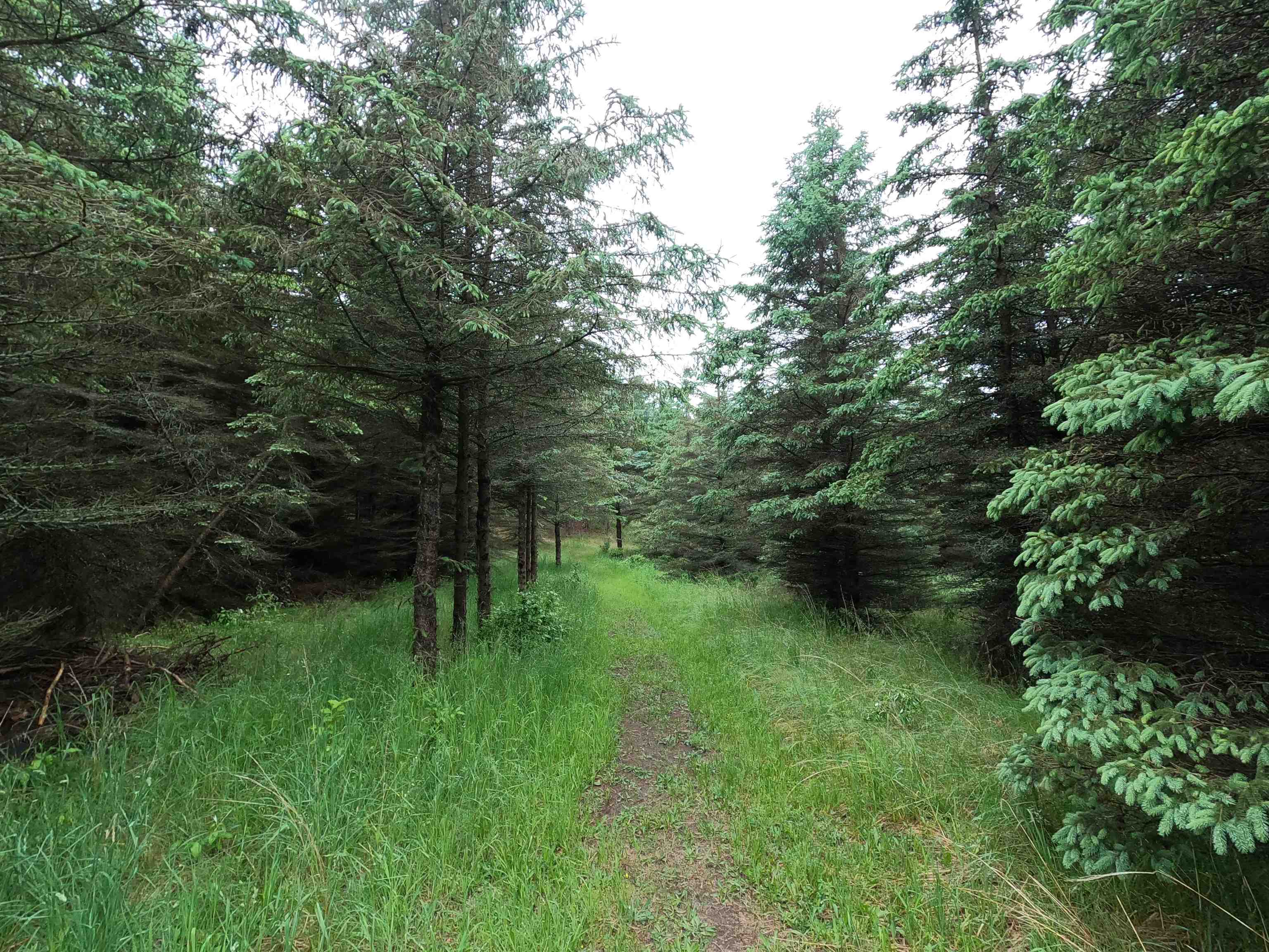 2779 Five Mile Road Traverse City, MI 49686 - Photo 12 of 19 1901192-11.JPG