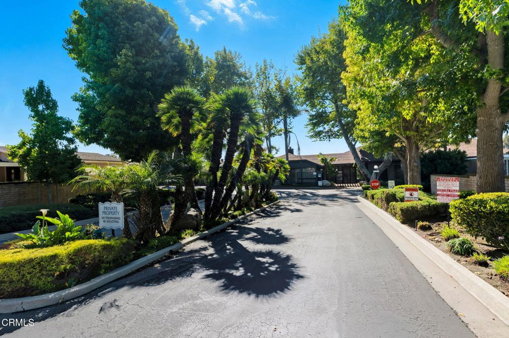 4700 Aurora Drive, Unit 16 Ventura, CA 93003 - Photo 23 of 28 a couple of potted plants in front of a house
