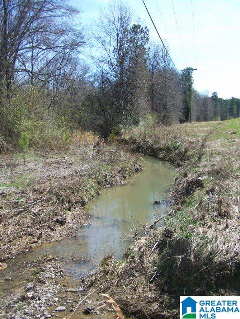 0 Mitchellville Road, Unit ACREAGE Lincoln, AL 35096 - Photo 17 of 19