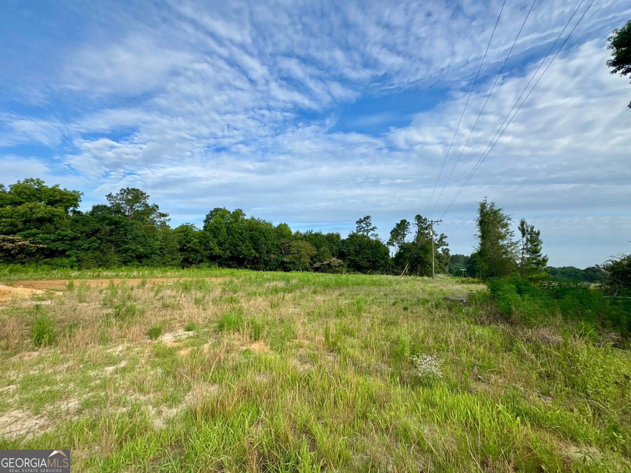1229 Mark Wood Road Dexter, GA 31019 - Photo 27 of 27