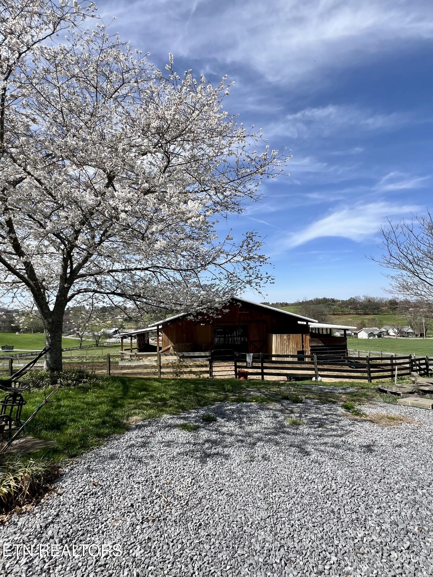 680 Morrell Springs Road Newport, TN 37821 - Photo 2 of 2 IMG_2060