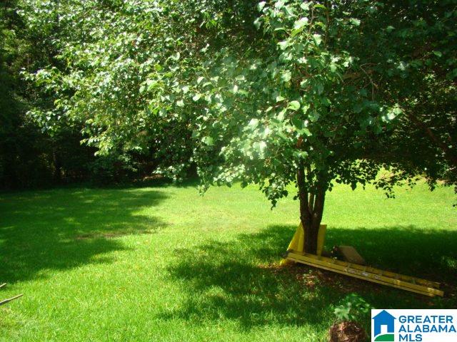366 Curtis Avenue Ohatchee, AL 36271 - Photo 22 of 23