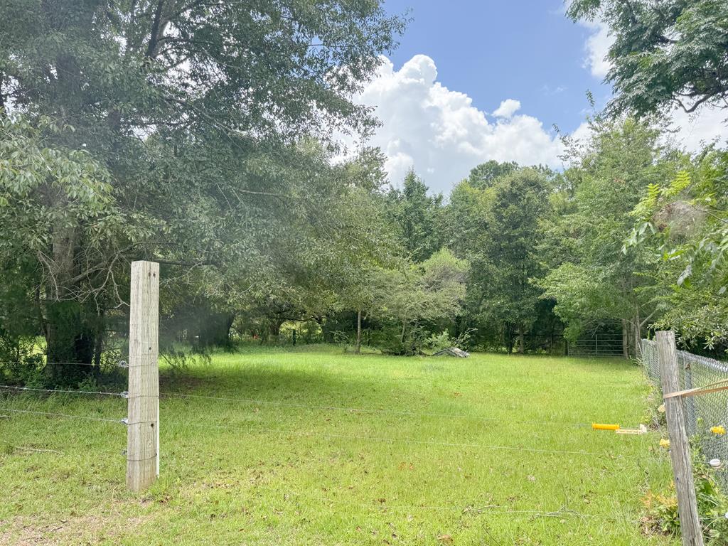 408 New Hinson Road Slocomb, AL 36375 - Photo 20 of 25 Gallery Image 20
