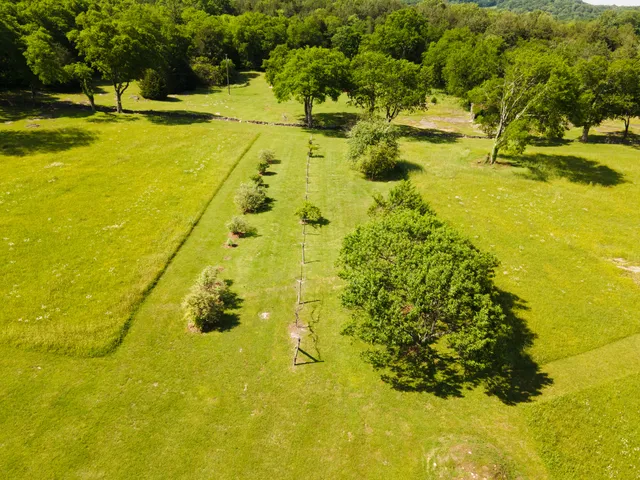 $2,796,000 | 29 Roger Monk Road, Petersburg, TN 37144