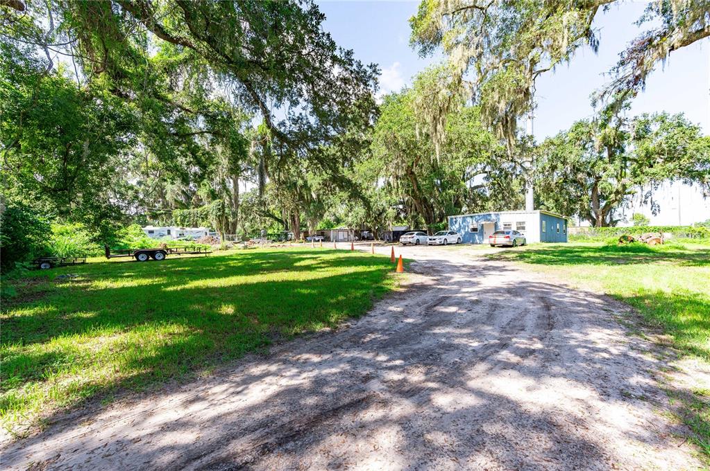 1503 Lakeview Avenue Seffner, FL 33584 - Photo 3 of 10 a view of a park with large trees