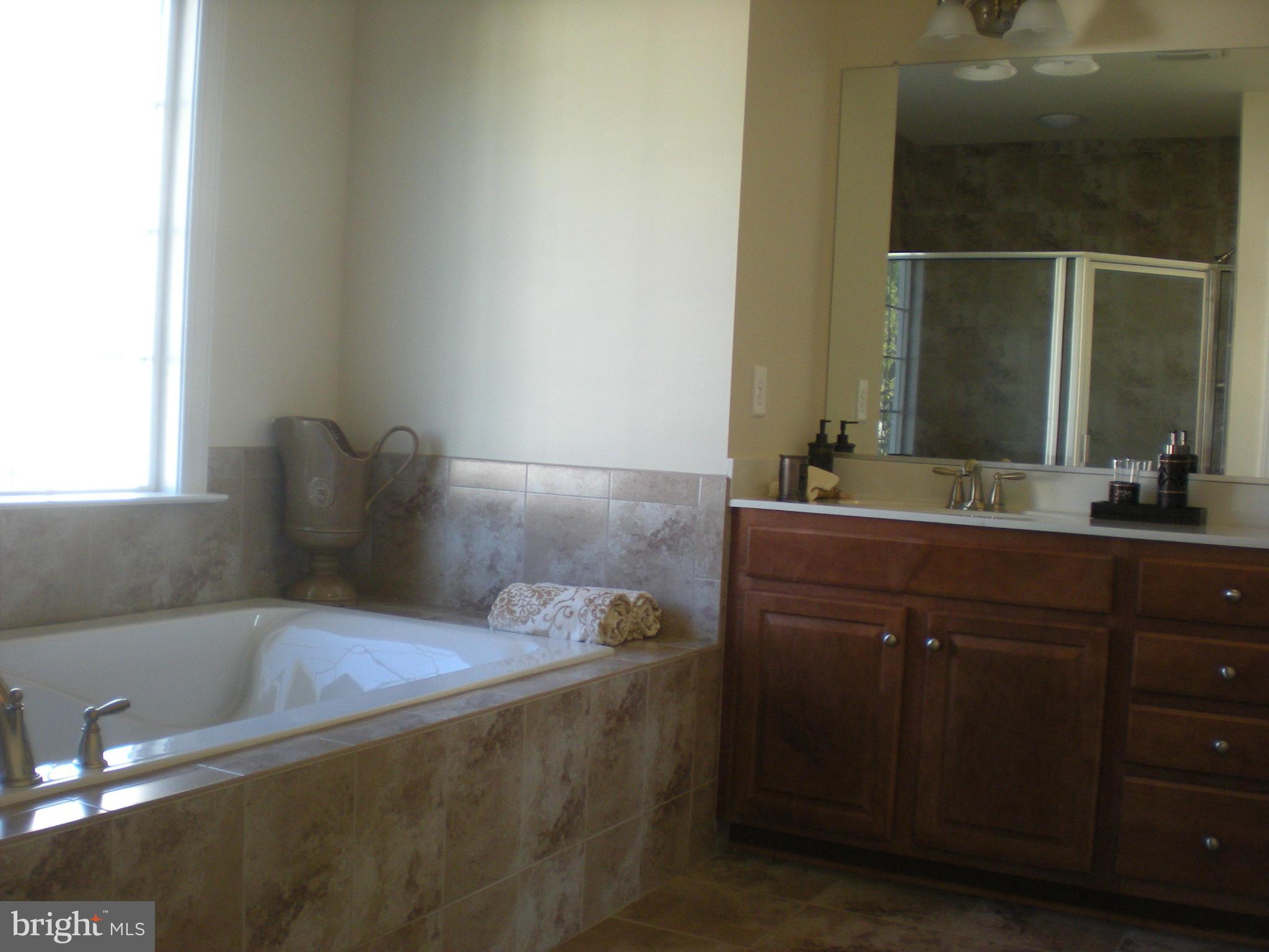 4169 Bell Ridge Court Chantilly, VA 20151 - Photo 14 of 15 Bath