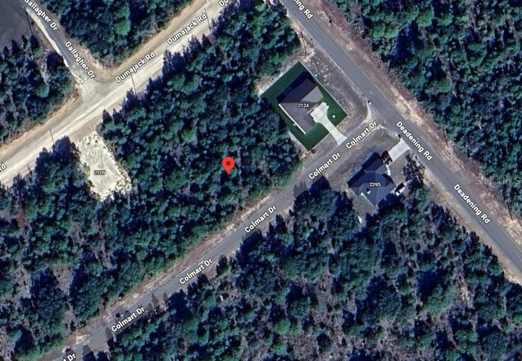 0 Colmart Drive Chipley, FL 32428 - Photo 2 of 4 a picture of flowers