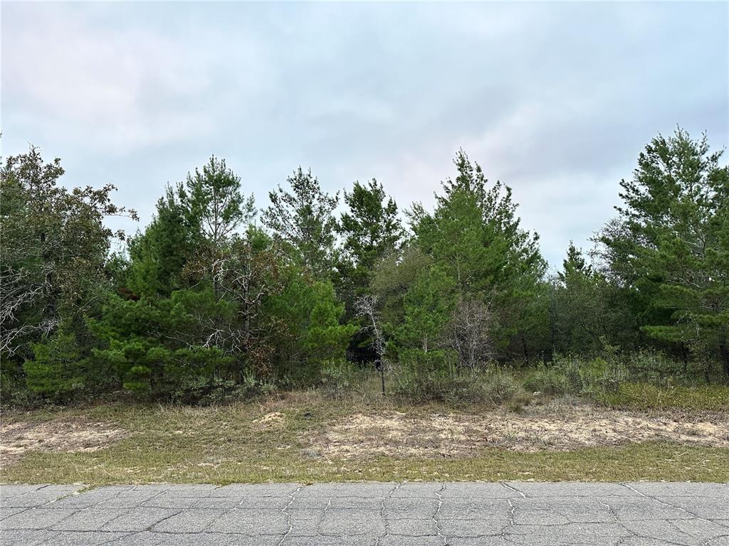 0 Colmart Drive Chipley, FL 32428 - Photo 3 of 4 a view of a lake view