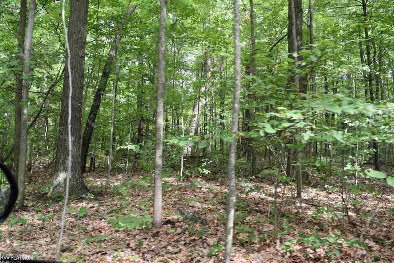 7203 Bryce Road North Street, MI 48049 - Photo 35 of 44