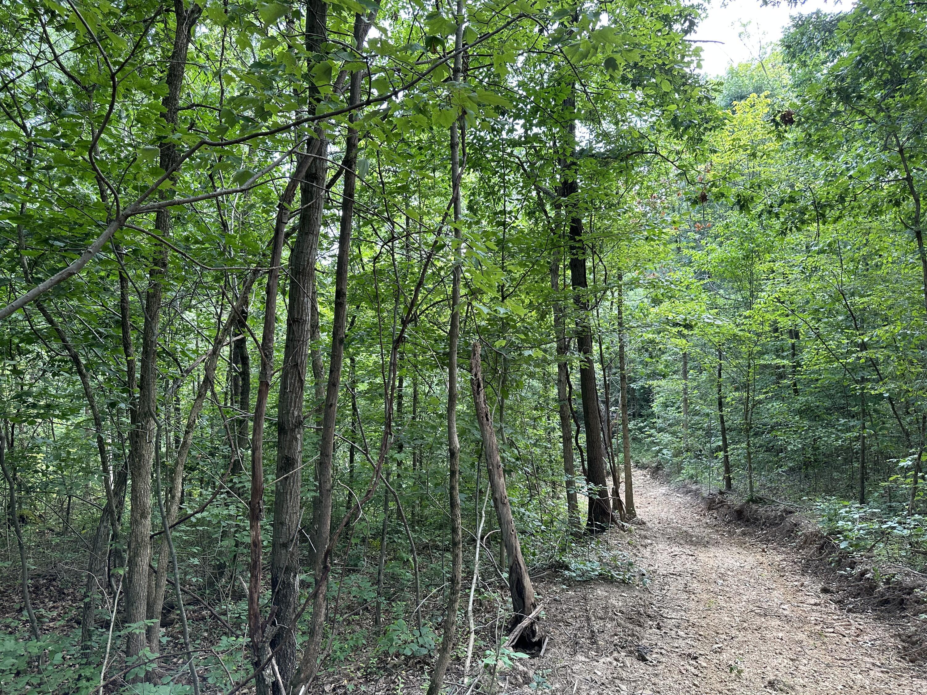 6690 Old State Road, Unit PERRY RIDGE TRACT 6) Crooksville, OH 43731 - Photo 25 of 36 20230804_211622272_iOS