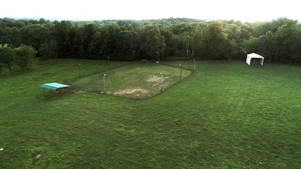 295 CALICO Road Decatur, TN 37322 - Photo 11 of 36 Calico Rd (9)