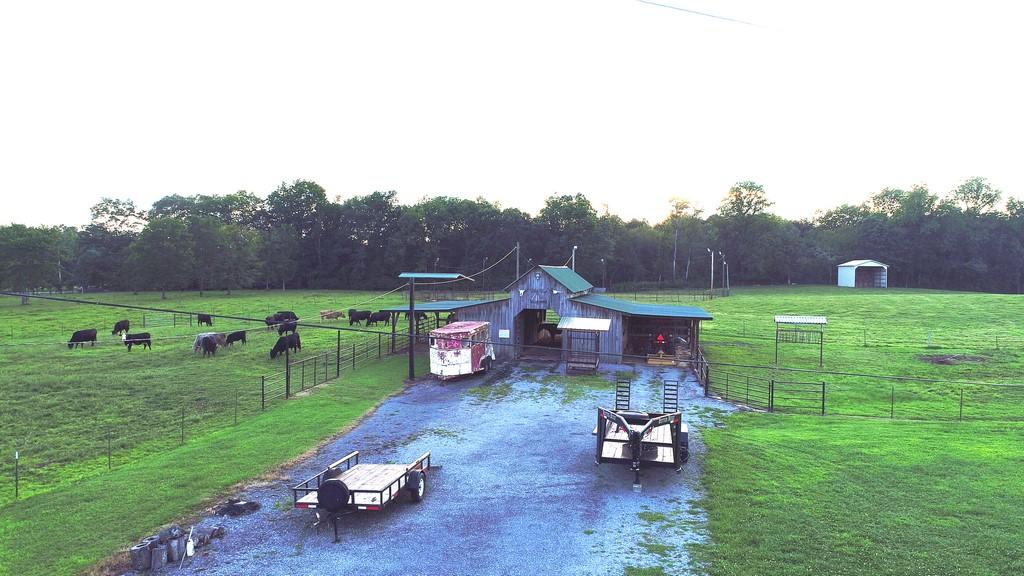 295 CALICO Road Decatur, TN 37322 - Photo 13 of 36 Calico Rd (22)