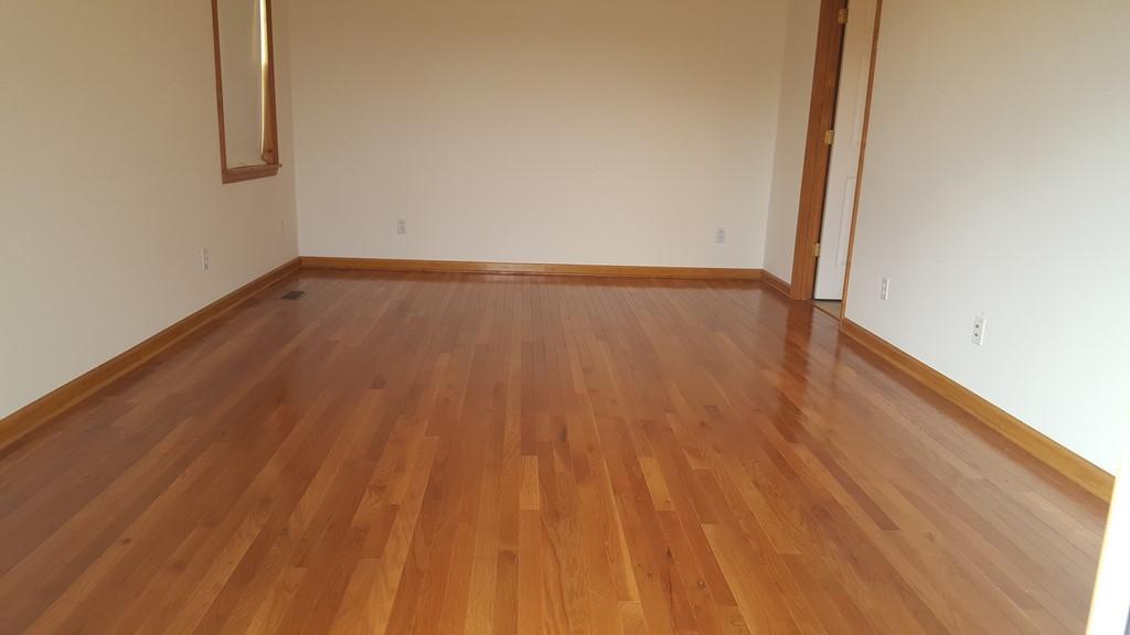 295 CALICO Road Decatur, TN 37322 - Photo 31 of 36 20170809_180602