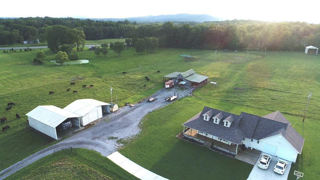 295 CALICO Road Decatur, TN 37322 - Photo 7 of 36 Calico Rd (8)