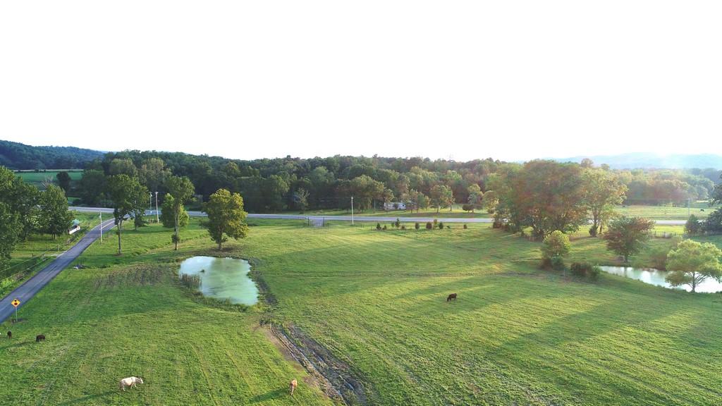 295 CALICO Road Decatur, TN 37322 - Photo 9 of 36 Calico Rd (2)