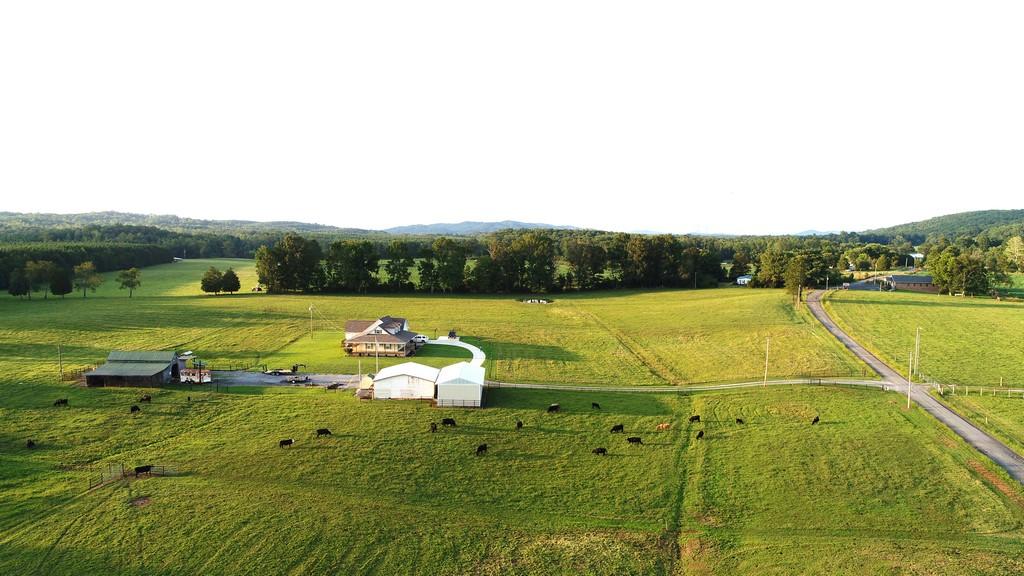 295 CALICO Road Decatur, TN 37322 - Photo 10 of 36 Calico Rd (4)