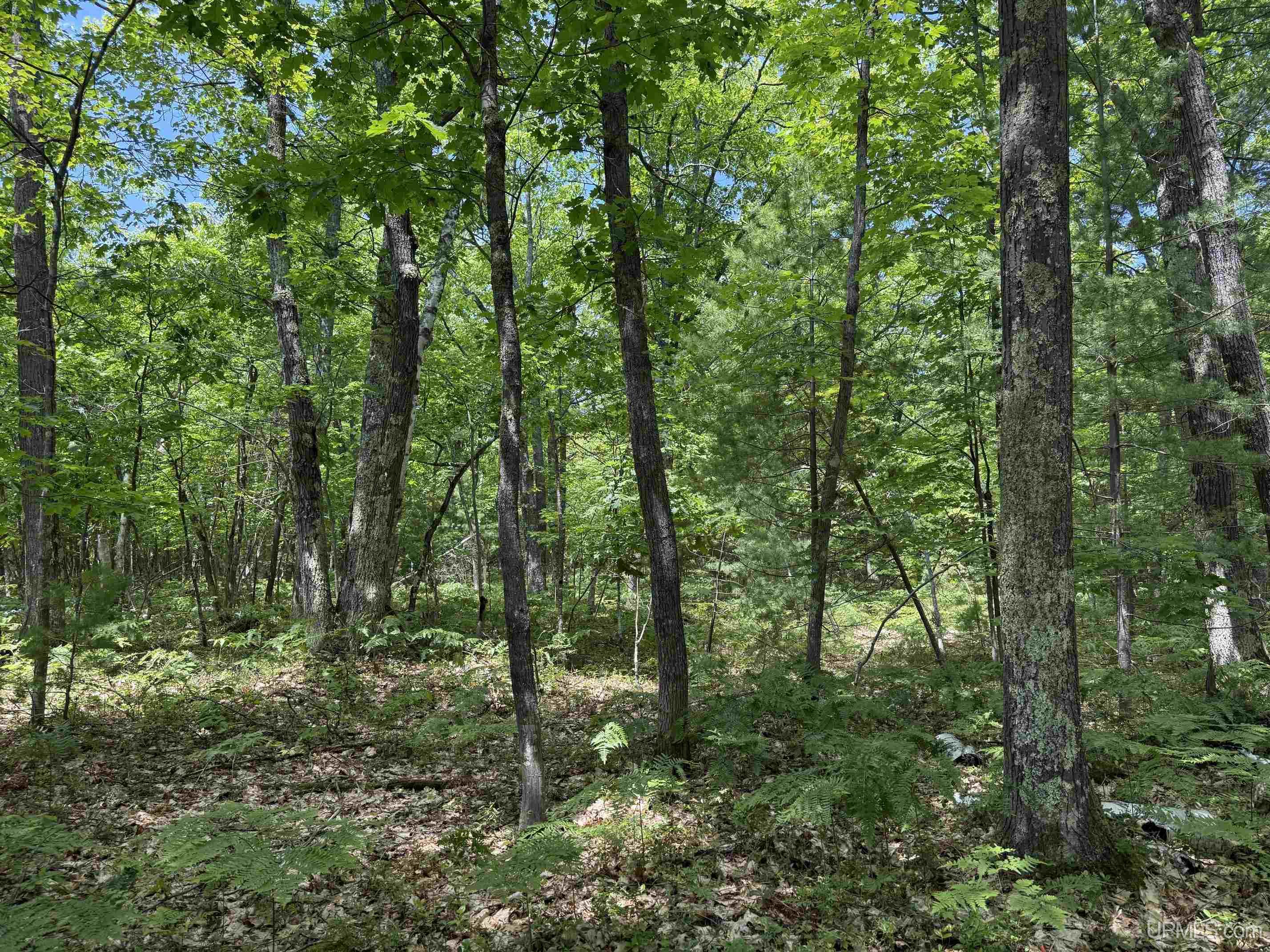 Tbd23 Senter Road Dollar Bay, MI 49922 - Photo 9 of 17
