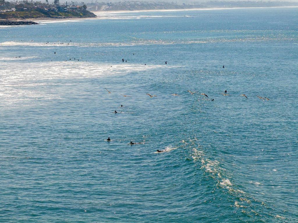 5199 El Arbol Drive Carlsbad, CA 92008 - Photo 39 of 57